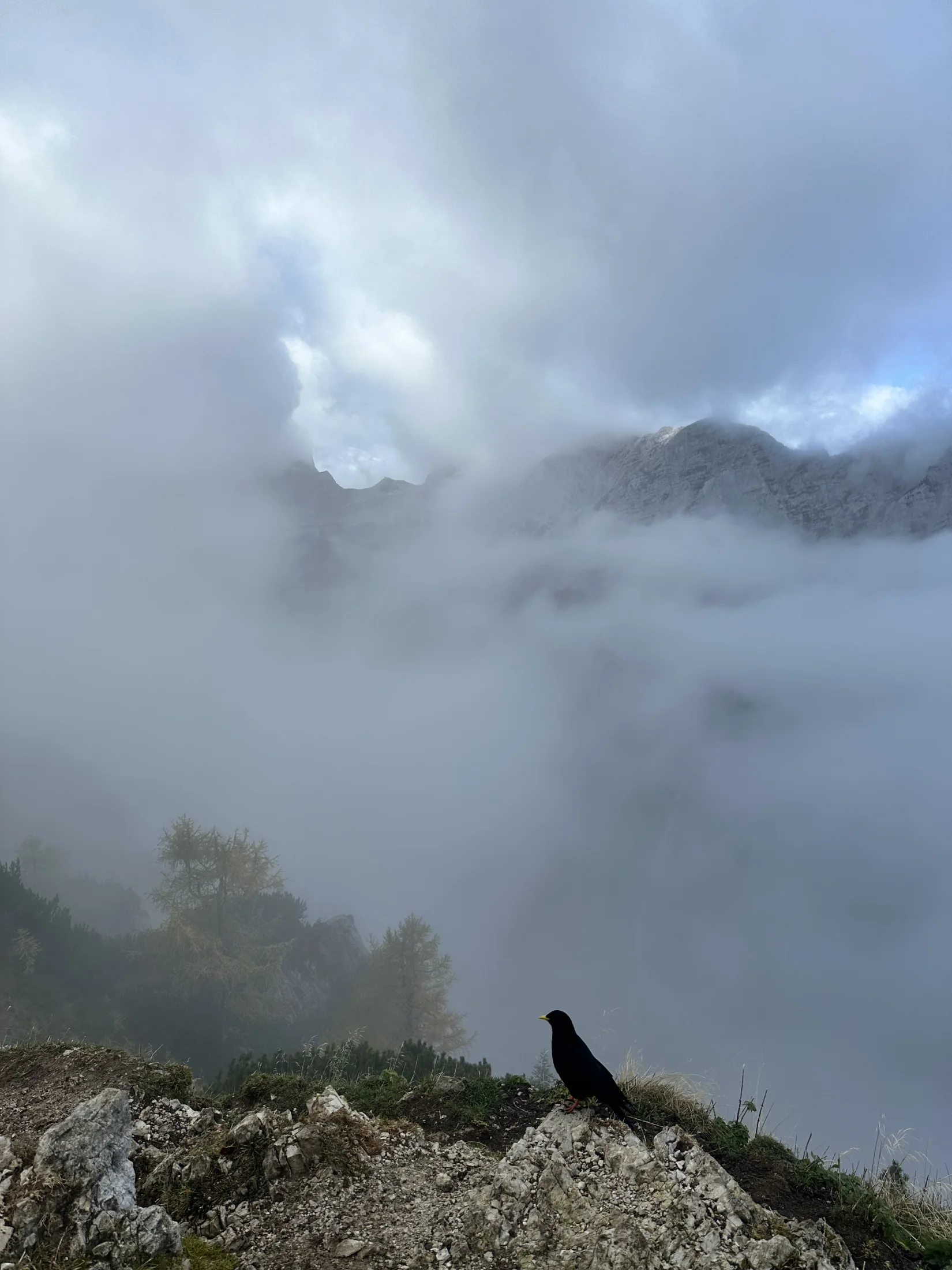 🎃 VLAŠKA MAGIJA – HALLOWEEN HIKE – 31.10. – SUBOTA
